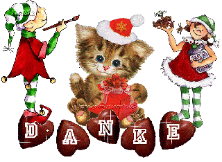 0       CHRISTMAS CAT