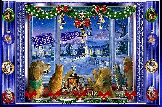 1 FREITAG  am Fenster Doggies1