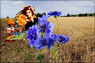 COLLAGE   FRAU   KORNBLUMEN