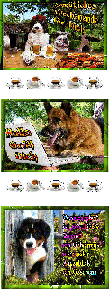 DOGGIES  GARTEN BIER und BILDtexte
