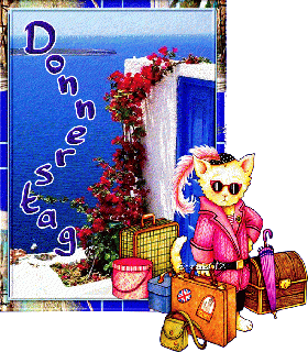 DONNERSTAG   CAT  AM  MEER