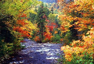 rainy indian summer 2305