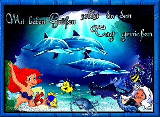 DELFINE    den Tag  geniessen