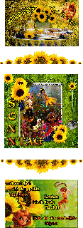 SONNTAG  COLLAGE  SONNENBLUMEN und BILDtexte