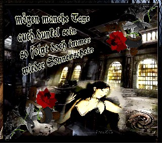 MOEGEN MANCHE  TAGE  DUNKEL  SEIN