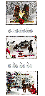 Collage    PFERDEHORDE   1 und HALLO und BILDtext