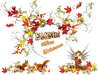 SAMSTAG  BLÄTTERCOLLAGE