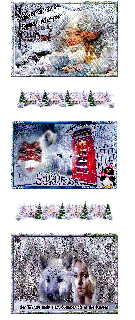 SONNTAG   COLLAGE   FACE   WOLF  1 und GUMO und BILDtext