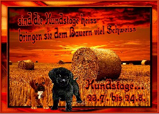 25  7   2015 HUNDSTAGE