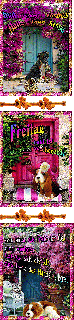FREITAG   DOG HAUSTUERE  PINK und HALLO und BILDtext