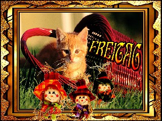 FREITAG   CAT  KORB