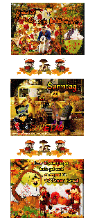 SONNTAG   COLLAGE KUERBIS und HALLO und BILDtext