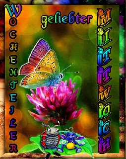 MITTWOCH   ANIMALS   COLLAGE