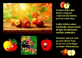 APFEL COLLAGE
