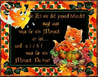 CAT  DIE ART WIE EIN MENSCH DICH BEHANDELT