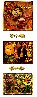 MITTWOCH   COLLAGE   MANN   SONNENBLUMEN  und GUMO HALLO und BILDtext