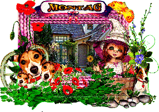 MONTAG   COLLAGE AM HAUS