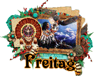 FREITAG    INDIANER