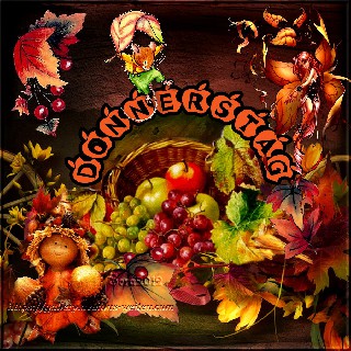 DONNERSTAG     COOLAGE   WALD1