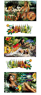 DIENSTAG    COLLAGE  ANIMALS und HALLO und BILDtext