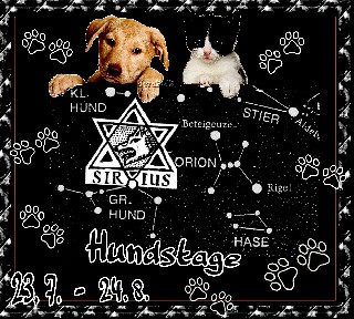 24   7   2015 HUNDSTAGE 1