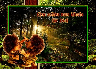 COLLAGE  SCHÖNE NEUE WOCHE