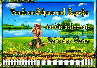 AUF  WIESE    FREUDE  AM SCHAUEN