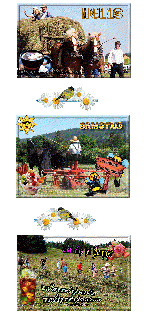 COLLAGE HEUERNTE SA und HALLO und BILDtext