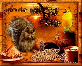 COLLAGE  WENN DER NEUE  TAG  ERWACHT