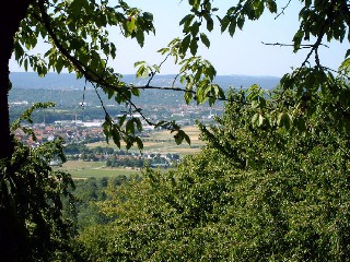 AUSBLICK  AUF DETTINGEN