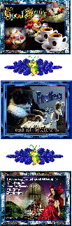 FREITAG   CAT COLLAGE und GUMO und BILDtext