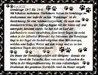 24   7   2015 HUNDSTAGE 2