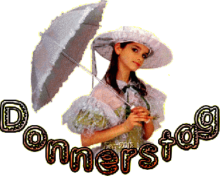 DONNERSTAG  LADY weisser SPITZENSCHIRM