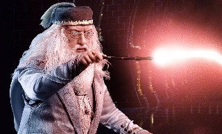 DUMBLEDORE 1