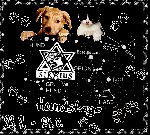 24   7   2015 HUNDSTAGE 1