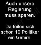 REGIERUNG  MUSS SPAREN