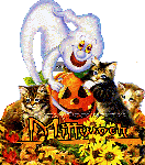 MITTWOCH   CATS  COLLAGE