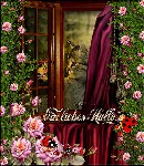 AM  FENSTER  CAT   FRUEHLING