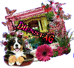 DIENSTAG    COLLAGE  DOGGIE