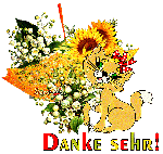 1 COLLAGE   CAT   MAIGLOECKCHEN