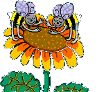 1 a Bild 1 auf Blume