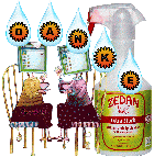 1 COLLAGE   AM PC   FLIEGENSCHUTZ