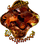 SAMSTAG  EICHHÖRNCHEN
