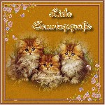 SONNTAG  CATS  BRAUN