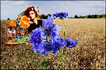 COLLAGE   FRAU   KORNBLUMEN