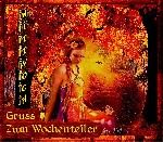 MITTWOCH   BIRD LADY