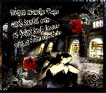 MOEGEN MANCHE  TAGE  DUNKEL  SEIN