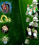 1 MAI    HINTERGRUND