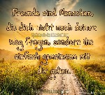 FREUNDE GEHEN DEINEN WEG MIT DIR