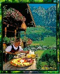 ALPBACH    BROTZEIT